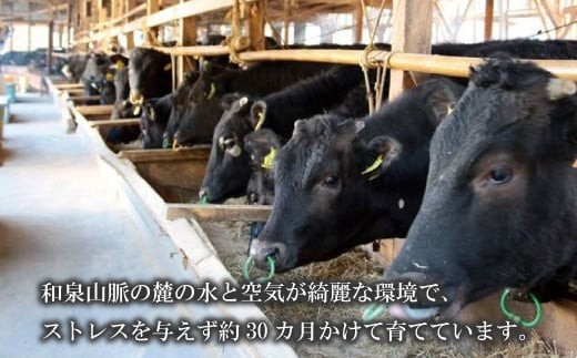 ãªã«ã é»ç å
ãã©ã ã» çŒèçš 400g (200g à 2ããã¯)