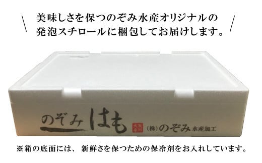縺ョ縺槭∩ 豢サ縲 鬪ィ蛻繧 逕滄アァ 700g 縲2026蟷エ5譛井ク頑流縺九i12譛井ク頑流逋コ騾∽コ亥ョ壹代ッ繧 繝上Δ 魍ァ 豢サ邱繧 逕溘ッ繧 縺ッ繧る豪 螟ゥ縺キ繧