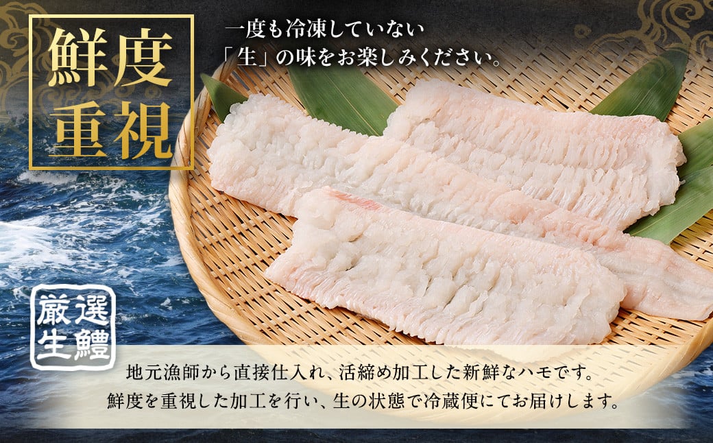 縺ョ縺槭∩ 豢サ縲 鬪ィ蛻繧 逕滄アァ 700g 縲2026蟷エ5譛井ク頑流縺九i12譛井ク頑流逋コ騾∽コ亥ョ壹代ッ繧 繝上Δ 魍ァ 豢サ邱繧 逕溘ッ繧 縺ッ繧る豪 螟ゥ縺キ繧