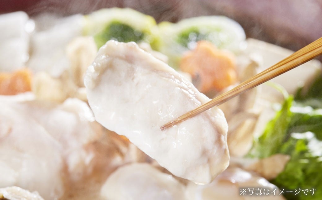 国産 トラフグ 約600g（ トラフグ鍋用にカット済み ）「トラフグ鍋（ てっちり ）・ 海鮮鍋 ・ 寄せ鍋 にオススメ」フグ とらふぐ カット済 真空冷凍 切り身 あら 【2026年3月上旬発送予定】