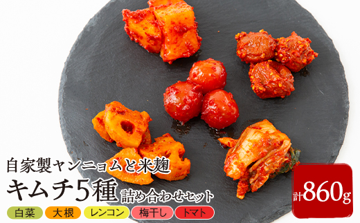キムチ5種詰め合わせセット【配送不可地域：離島・北海道・沖縄県・東北・九州】【1634981】