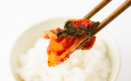 繧ュ繝繝5遞ョ隧ー繧∝粋繧上○繧サ繝繝医宣埼∽ク榊庄蝨ー蝓滂シ夐屬蟲カ繝サ蛹玲オキ驕薙サ豐也ク逵後サ譚ア蛹励サ荵晏キ槭代1634981縲