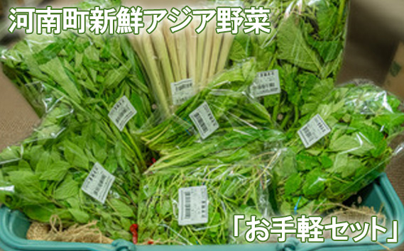 No.332 河南町新鮮アジア野菜「お手軽セット」