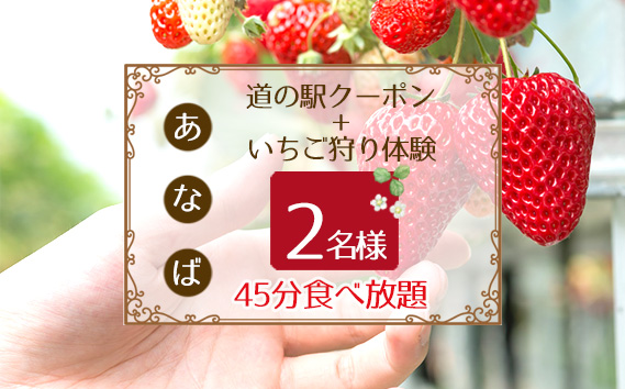 No.253 「あ・な・ば」かなんでいちご狩り体験　ペア券と道の駅クーポンセット ／ チケット 苺 イチゴ狩り 食べ放題 大阪府