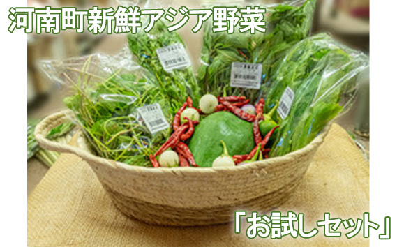 No.331 河南町新鮮アジア野菜「お試しセット」