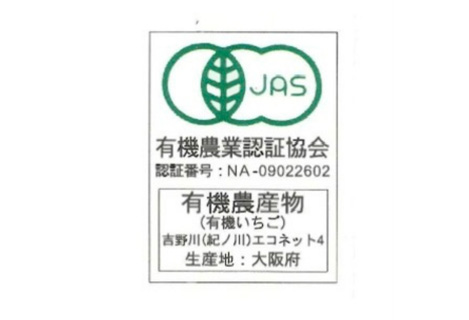No.407 おいしいいちご　有機JAS認証いちご　500g　24粒
