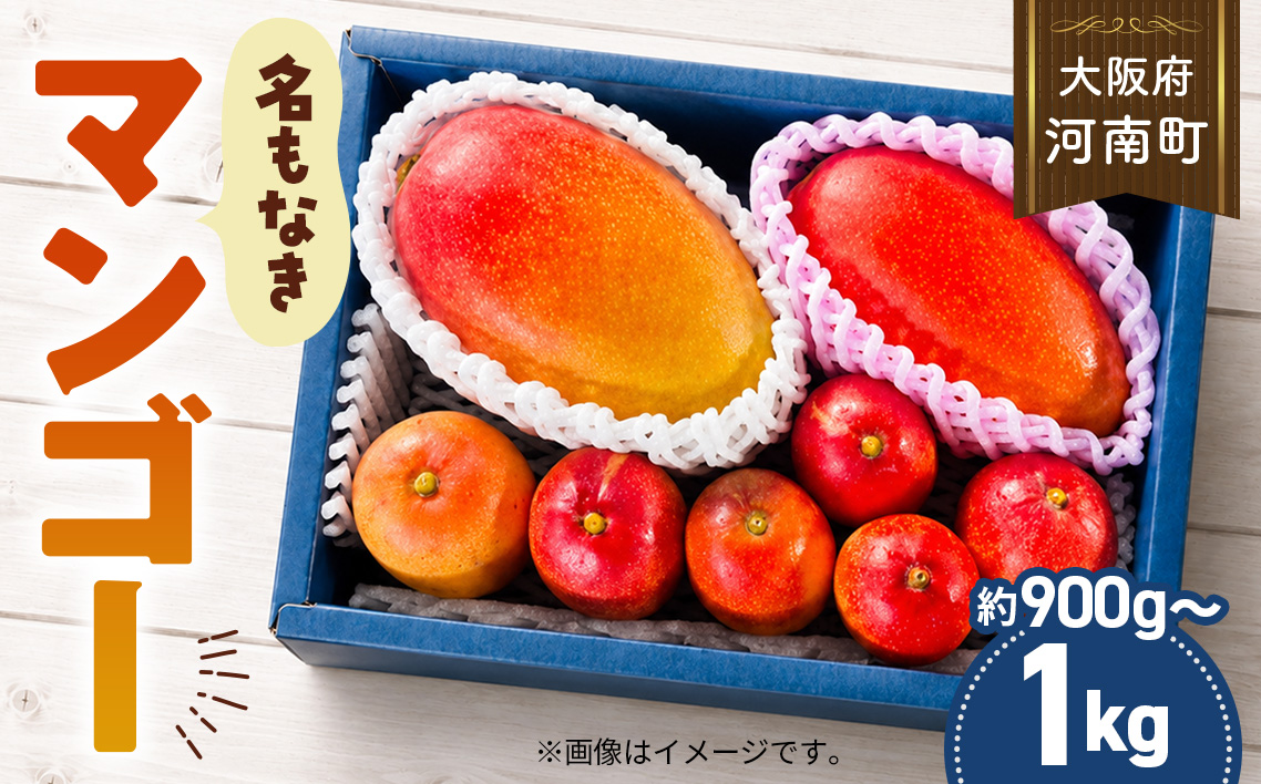 名もなきマンゴー 詰め合わせ 約900g～1kg　大きさ不揃い No.374