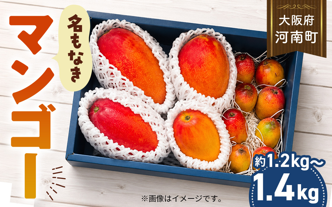 名もなきマンゴー 詰め合わせ 約1.2～1.4kg　大きさ不揃い No.375