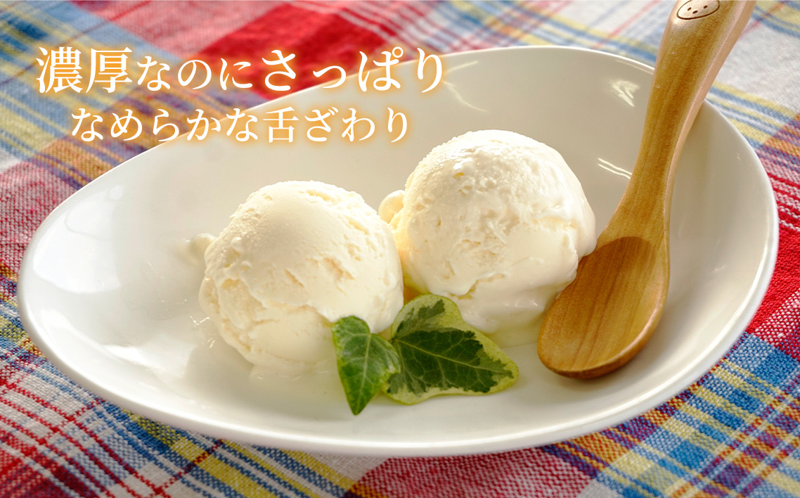 無添加アイスクリーム＆アイスキャンデーセット ／ チョコ 宇治金時 ミルク 濃厚 大阪府 特産品 No.129