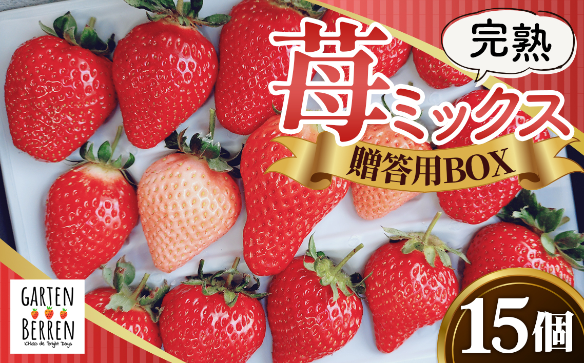 完熟苺ミックス15粒贈答用BOX No.399