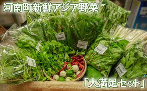 No.334 河南町新鮮アジア野菜「大満足セット」