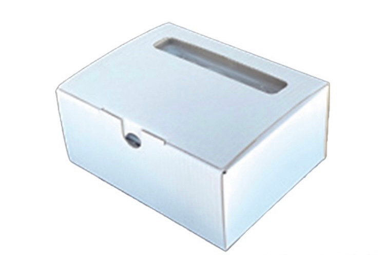 No.407 おいしいいちご　有機JAS認証いちご　500g　24粒