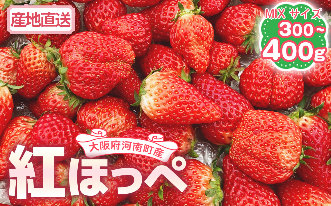 【紅ほっぺ】MIX（サイズいろいろ）300-400g程度 ／ 苺 イチゴ フルーツ 大阪府 No.256