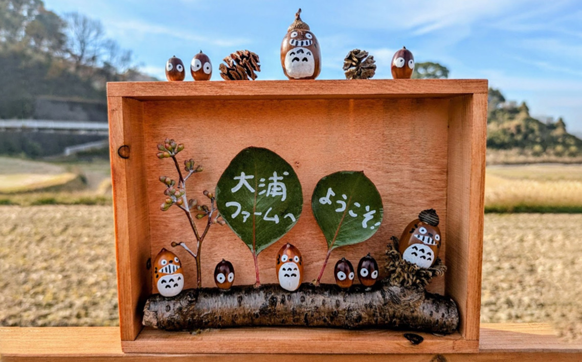 ポン菓子・おこしセット No.401