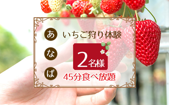 No.250 「あ・な・ば」かなんでいちご狩り体験　ペア券 ／ チケット 苺 イチゴ狩り 食べ放題 大阪府