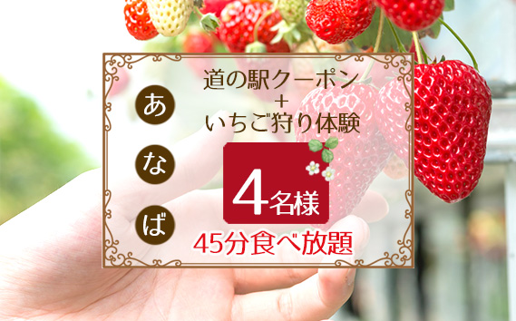 No.255 「あ・な・ば」かなんでいちご狩り体験　ファミリー券と道の駅クーポンセット ／ チケット 苺 イチゴ狩り 食べ放題 大阪府