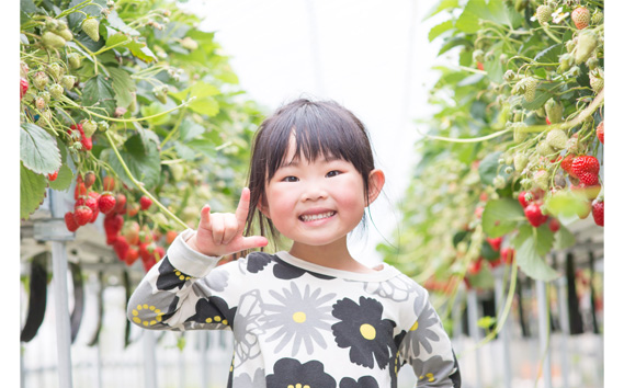 No.250 「あ・な・ば」かなんでいちご狩り体験　ペア券 ／ チケット 苺 イチゴ狩り 食べ放題 大阪府