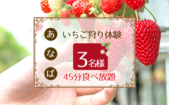 No.251 「あ・な・ば」かなんでいちご狩り体験　トリオ券 ／ チケット 苺 イチゴ狩り 食べ放題 大阪府