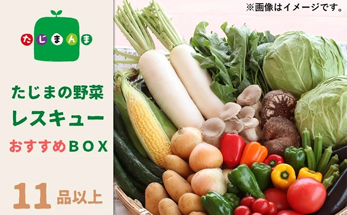 たじまの野菜レスキューおすすめBOX（11品以上）