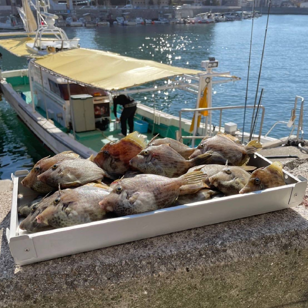 マルチトレー Hierude（ひえるでぇ） 480サイズ 3段セット / トレー アルミ アルミトレー 容器 四角 アウトドア キャンプ キッチン 調理器具 マルチユース 兵庫県