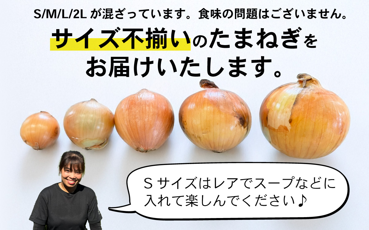 淡路島 新玉ねぎ 6kg 訳あり サイズ不揃い 簡易箱でお届け ／ 不揃い サイズ 混合 ミックス S M L 2L 玉ねぎ タマネギ オニオン スライス サラダ ハンバーグ 肉じゃが 焼肉 常備菜 BBQ スープ 味噌汁 産地直送 兵庫県 淡路市