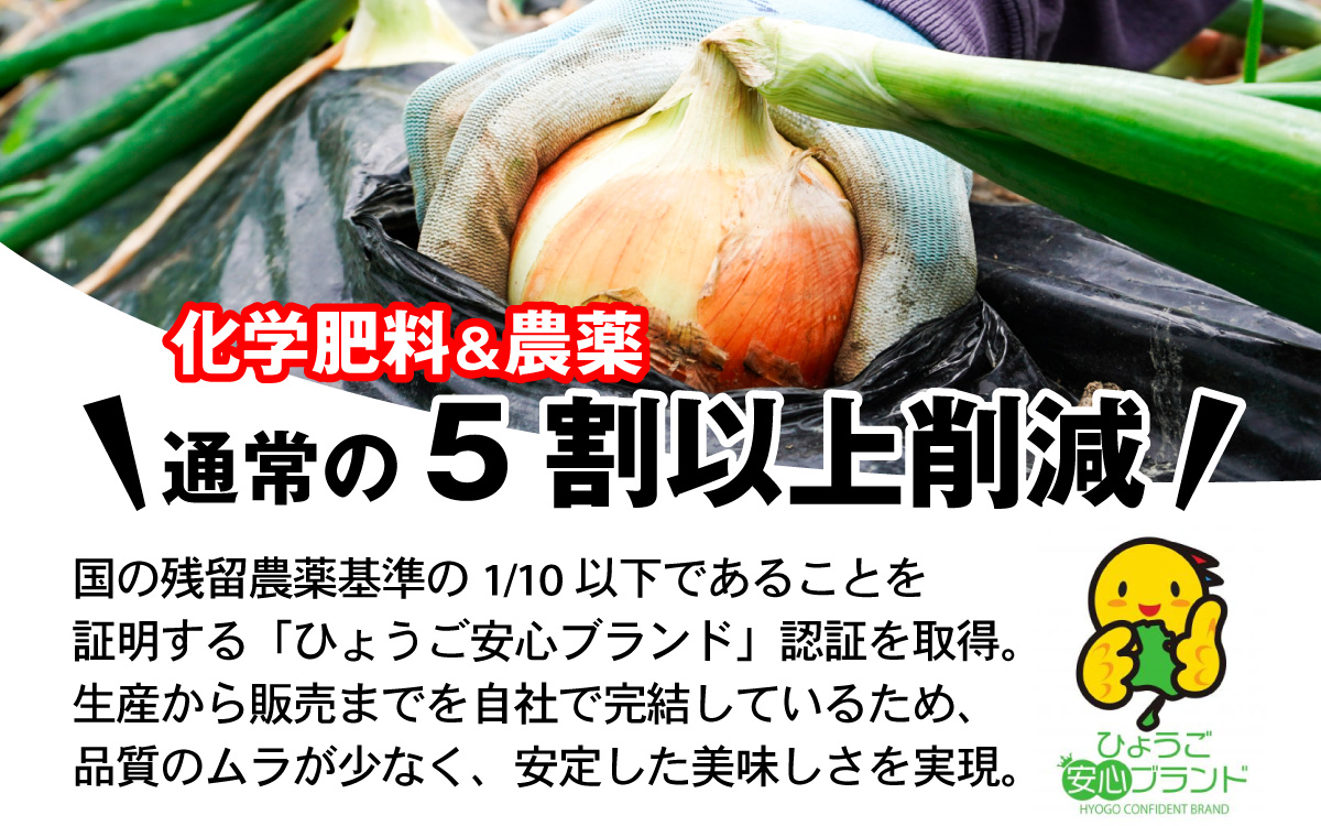 淡路島 新玉ねぎ 3kg 訳あり サイズ不揃い 簡易箱でお届け ／ 不揃い サイズ 混合 ミックス S M L 2L 玉ねぎ タマネギ オニオン スライス サラダ ハンバーグ 肉じゃが 焼肉 常備菜 BBQ スープ 味噌汁 産地直送 兵庫県 淡路市