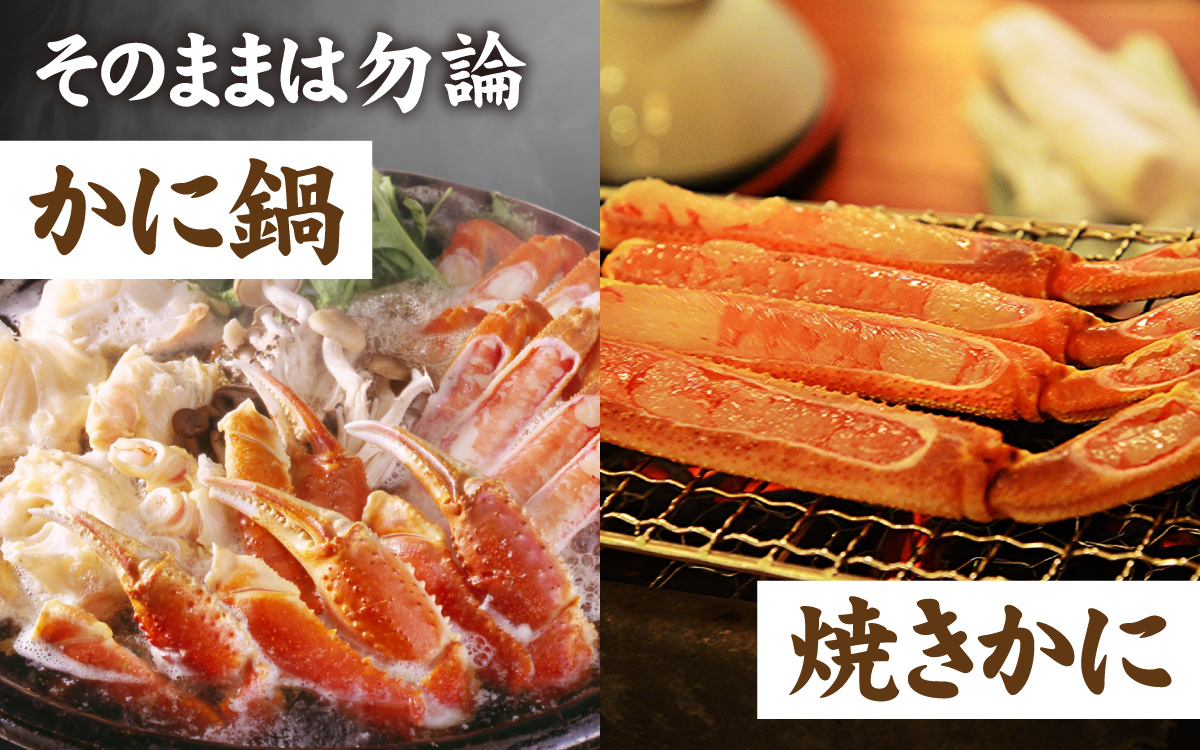 松葉がに 400～500g (ボイル)／蟹 ズワイガニ 浜坂漁港 タグ付き 無添加 日本海 魚介類 新鮮 塩茹で 上品な甘み 海鮮 海の幸 かに 国産 冷凍