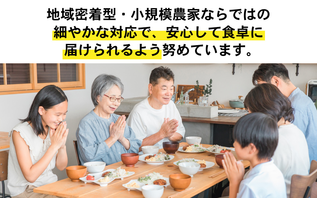 【先行予約】 淡路島 貯蔵玉ねぎ 3kg 訳あり サイズ不揃い 簡易箱でお届け ／ 不揃い サイズ 混合 ミックス S M L 2L 玉ねぎ タマネギ オニオン スライス サラダ ハンバーグ 肉じゃが 焼肉 常備菜 BBQ スープ 味噌汁 産地直送 兵庫県 淡路市