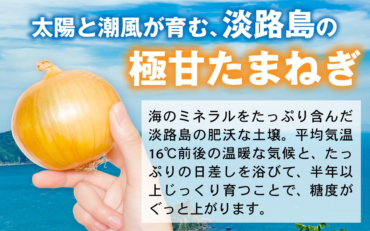 【先行予約】 淡路島 貯蔵玉ねぎ 3kg 訳あり サイズ不揃い 簡易箱でお届け ／ 不揃い サイズ 混合 ミックス S M L 2L 玉ねぎ タマネギ オニオン スライス サラダ ハンバーグ 肉じゃが 焼肉 常備菜 BBQ スープ 味噌汁 産地直送 兵庫県 淡路市