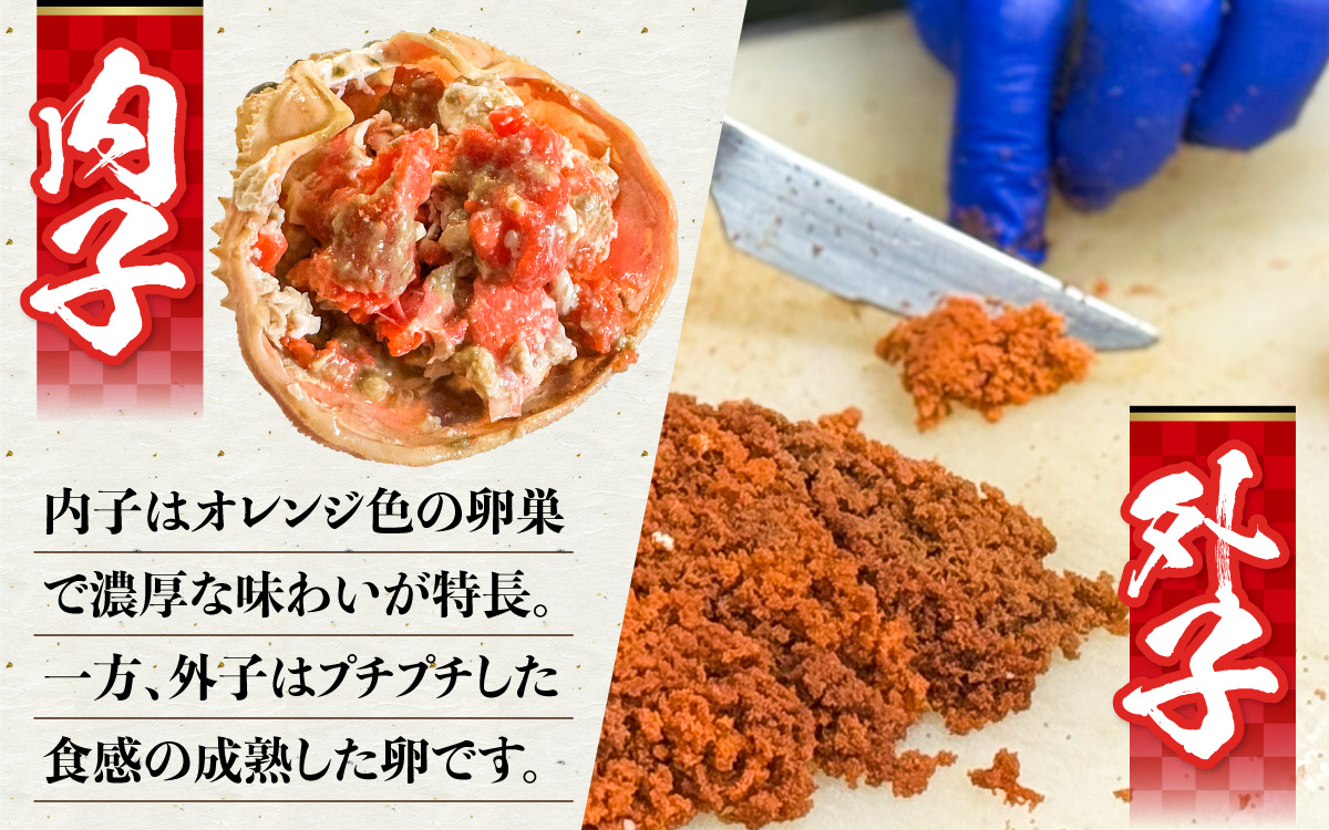 セコガニ 甲羅盛り 4個 ／ 釜茹で むき身 かにみそ カニ味噌 蟹 カニ ほぐし身 ズワイガニ セイコガニ 松葉ガニ せいこがに かに 個包装 兵庫県産 兵庫県 浜坂産 水揚げ かに解禁 おつまみ 送料無料