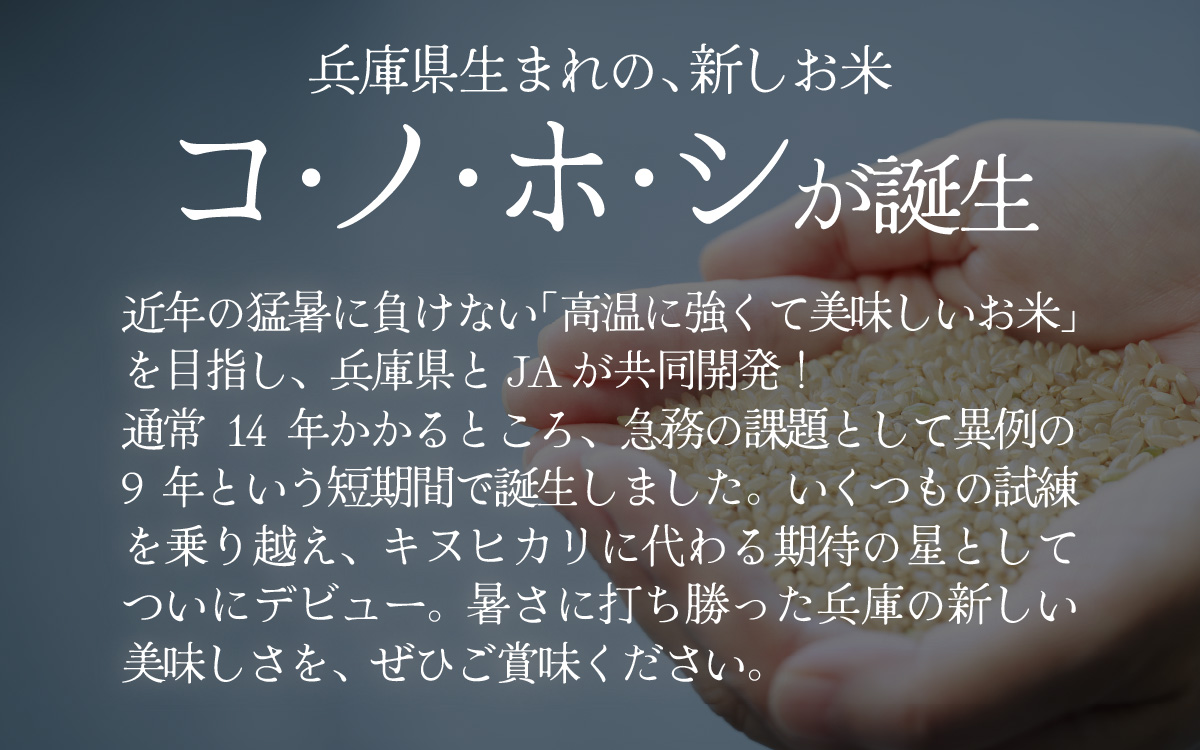 兵庫県産コノホシ (4kg)／兵庫県産 精米 単一原料米 米 コメ 新品種 限定 新しい 兵庫県 オリジナル