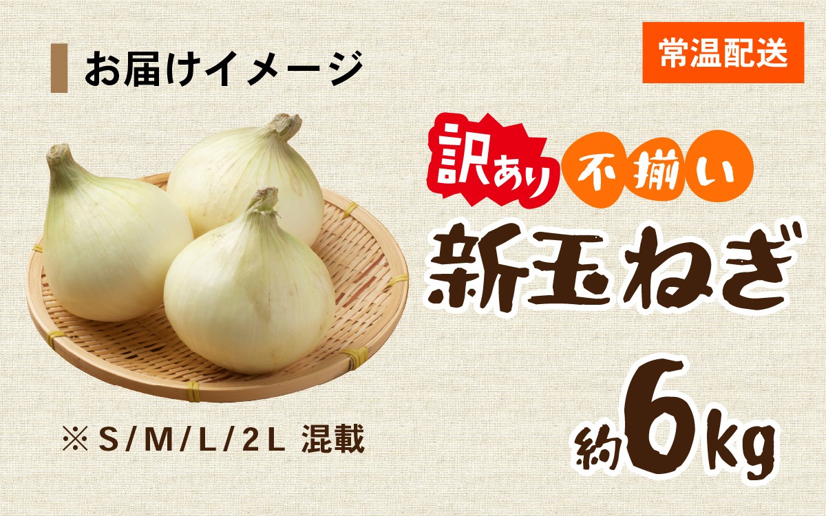 淡路島 新玉ねぎ 6kg 訳あり サイズ不揃い 簡易箱でお届け ／ 不揃い サイズ 混合 ミックス S M L 2L 玉ねぎ タマネギ オニオン スライス サラダ ハンバーグ 肉じゃが 焼肉 常備菜 BBQ スープ 味噌汁 産地直送 兵庫県 淡路市
