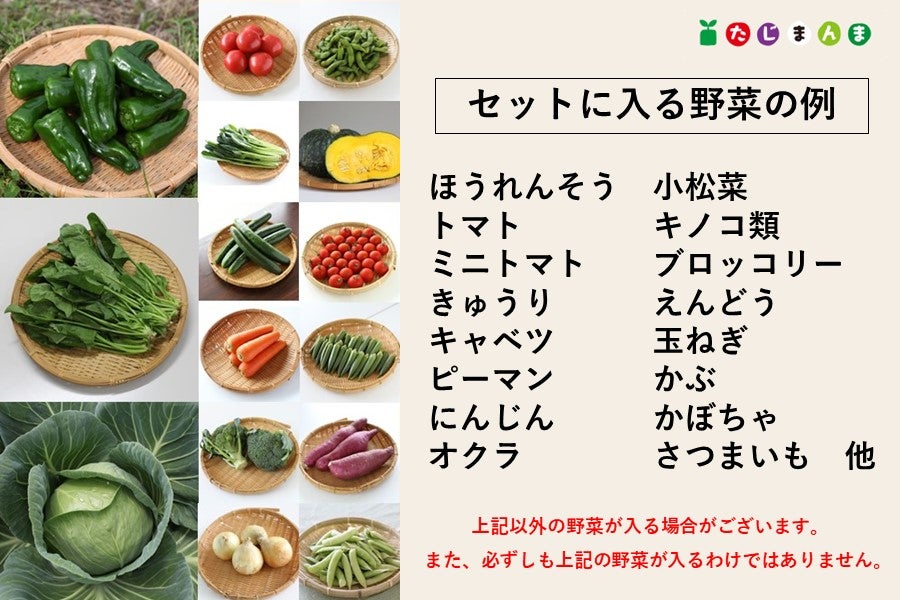 たじまの野菜レスキューおすすめBOX（11品以上）