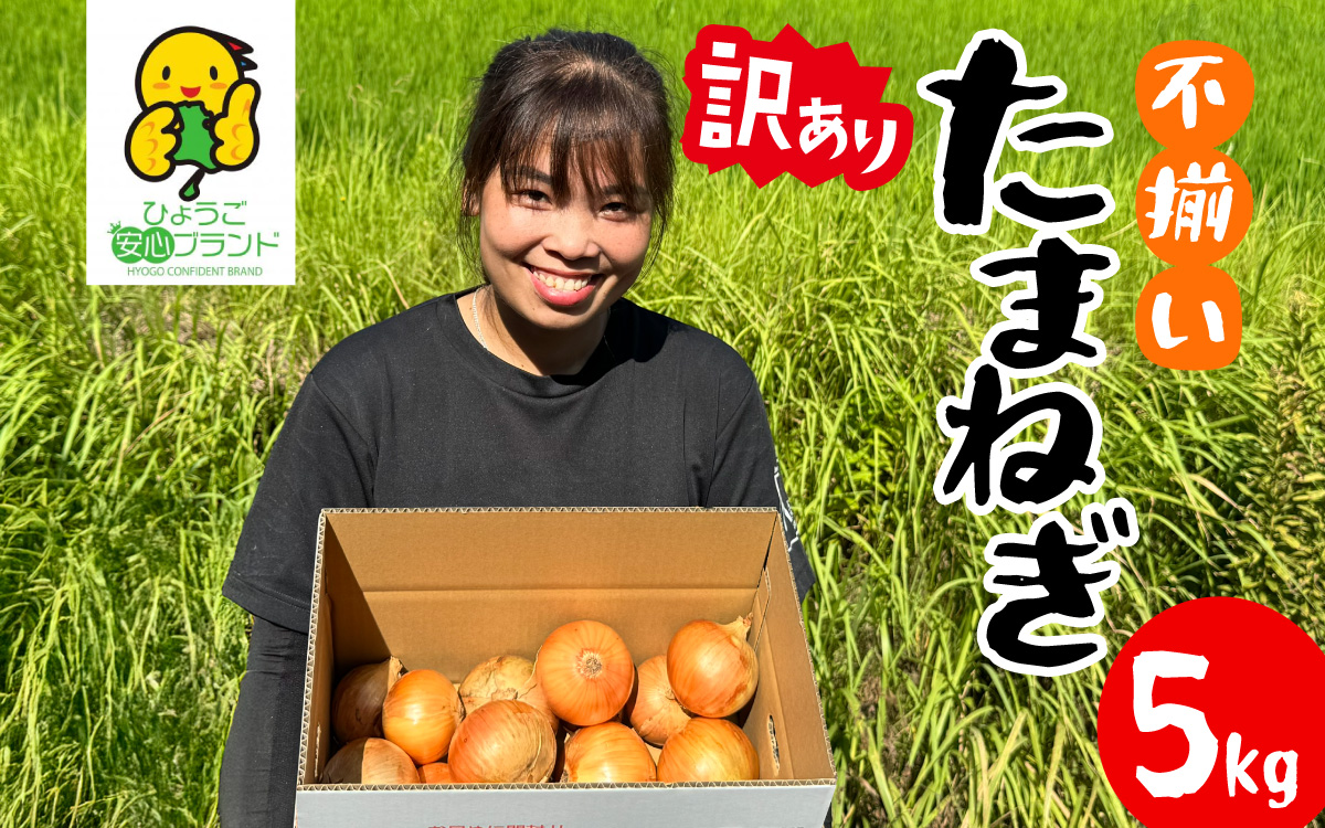 訳あり たまねぎ 5kg 淡路島 フードロス SDGs / 不揃い サイズ 混合 ミックス S M L 2L 玉ねぎ タマネギ オニオン スライス サラダ ハンバーグ 肉じゃが 焼肉 常備菜 BBQ スープ 味噌汁 産地直送 兵庫県 淡路市
