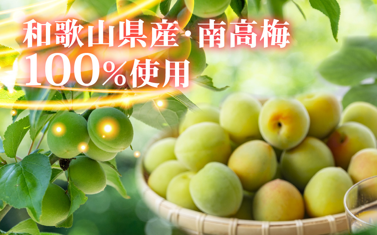 譌・縺ョ蜃コ縺ソ繧翫s 縺ゅ§繧上>譴驟抵シ亥漉鬮俶「100シシ2L/6譛ャ縲縲 縺企 驟ク蜻ウ 蜆ェ縺励>逕倥∩ 譴驟 繧サ繝繝 縲