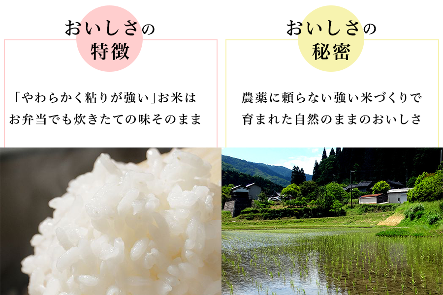 【特別栽培米】コウノトリ育むお米 　令和6年度産　5kg