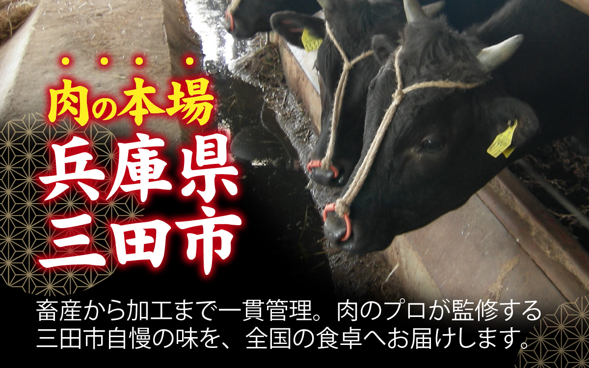 黿¯åç ããŒã¹ãããŒãã900gïŒ æ£è ãè çè ã¢ã¢ èã®å å·¥å åœç£ 黿¯åç å¡© é»è¡æ€ çéè çè± äººå ããŒãªãš æšå³ èªæ
¢ å颚ãœãŒã¹ æšã¿