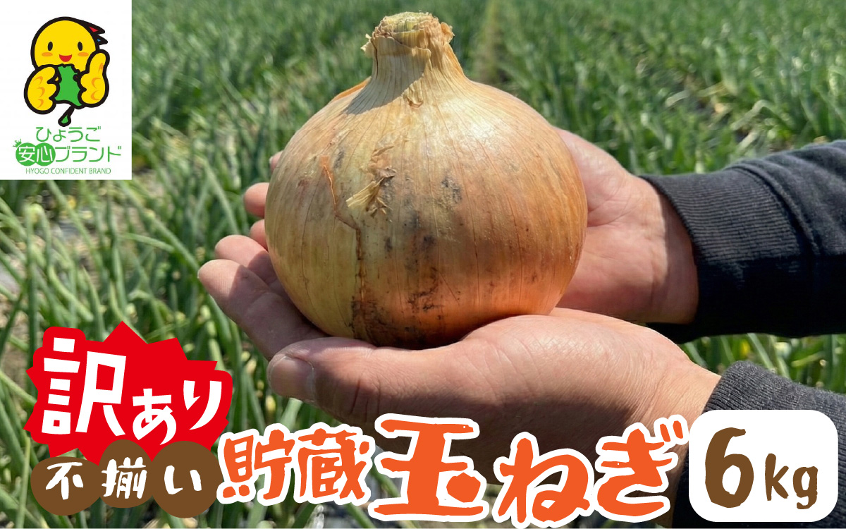 【先行予約】 淡路島 貯蔵玉ねぎ 6kg 訳あり サイズ不揃い 簡易箱でお届け ／ 不揃い サイズ 混合 ミックス S M L 2L 玉ねぎ タマネギ オニオン スライス サラダ ハンバーグ 肉じゃが 焼肉 常備菜 BBQ スープ 味噌汁 産地直送 兵庫県 淡路市