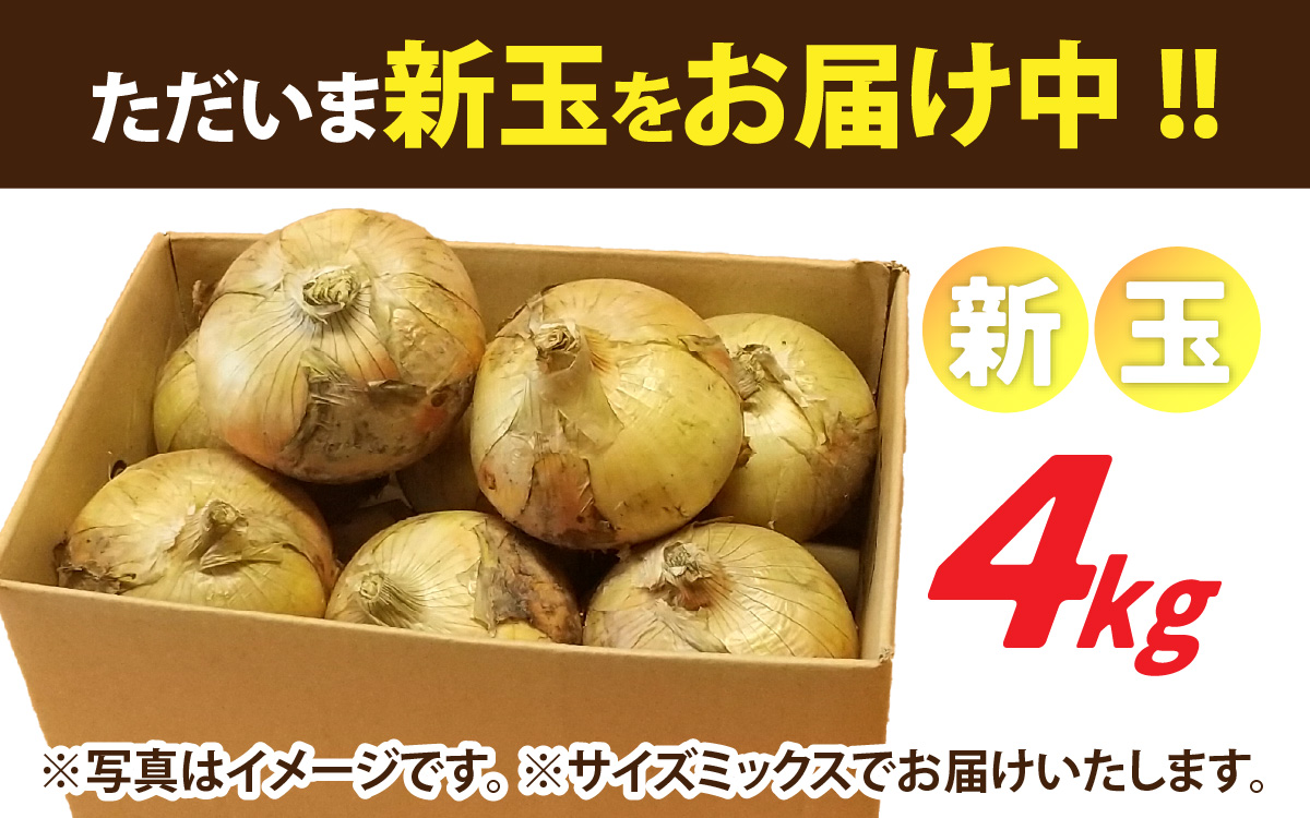 新玉フルーツ玉ねぎ4kg【サイズ色々】