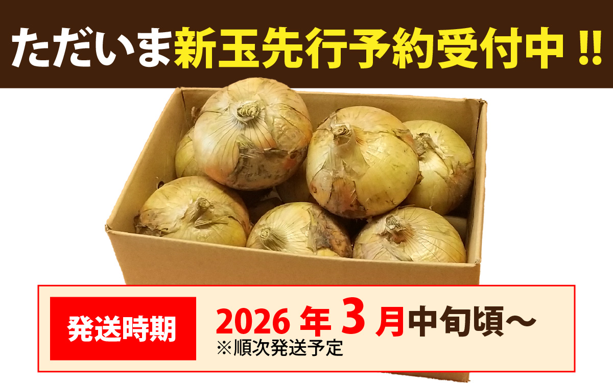 【先行予約】新玉フルーツ玉ねぎ4kg【サイズ色々】※2026年3月中旬頃より順次発送予定