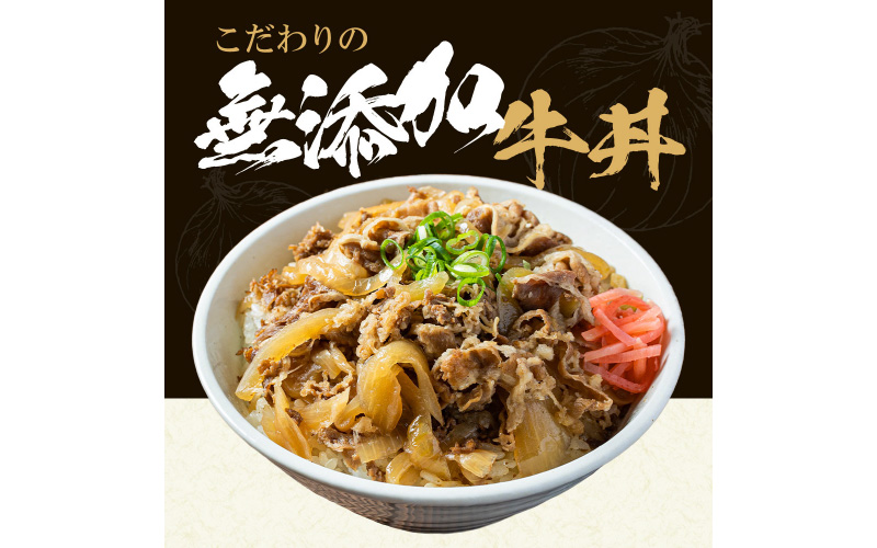 淡路島たまねぎ牛丼6食