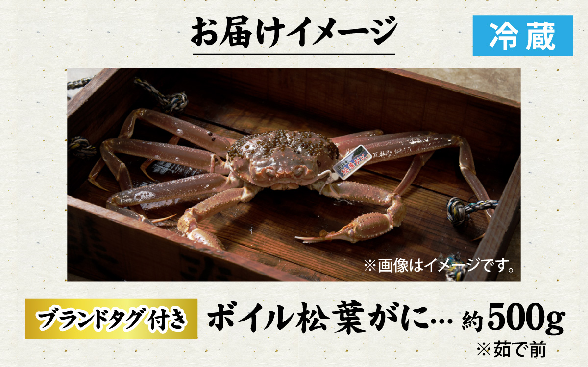 【冷蔵】 【ボイル】 松葉ガニ 500g 1杯／蟹 ズワイガニ 浜坂漁港 タグ付き 無添加 日本海 魚介類 新鮮 塩茹で 上品な甘み 海鮮 海の幸 かに 国産