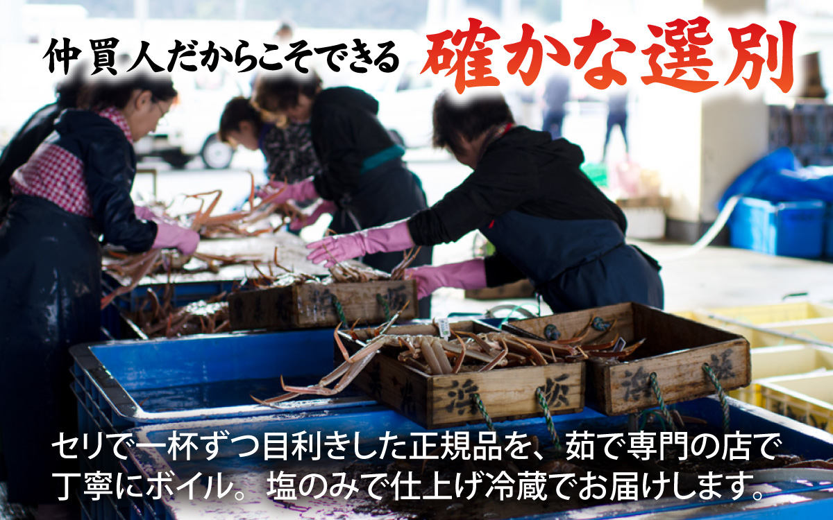 【冷蔵】 【ボイル】 松葉ガニ 500g 1杯／蟹 ズワイガニ 浜坂漁港 タグ付き 無添加 日本海 魚介類 新鮮 塩茹で 上品な甘み 海鮮 海の幸 かに 国産