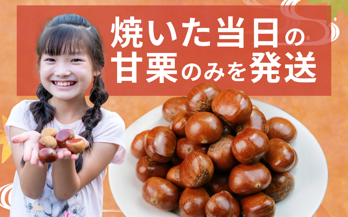 螟ゥ豢・逕俶 2kg シ 辟シ縺阪◆縺ヲ 譬 縺上j 繝槭Ο繝ウ 遘 縺翫d縺、 譬礼穐 谿サ莉倥″ 縺願藷蟄 縺翫▽縺セ縺ソ 莠コ豌 鬮倥Μ繝斐シ繝 蟆丞縺 譬励#鬟ッ 譬励″繧薙→繧 逕倬愆辣ョ 縺薙□繧上j 謇玖サス 縺翫◆繧√@ 縺願ゥヲ縺