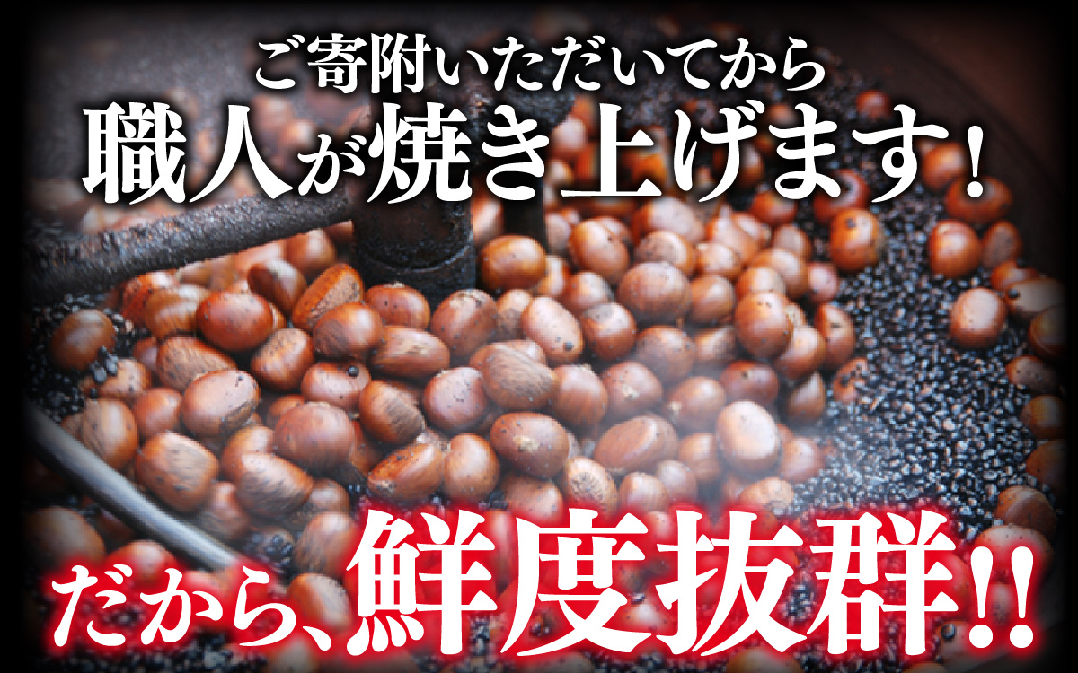 螟ゥ豢・逕俶 2kg シ 辟シ縺阪◆縺ヲ 譬 縺上j 繝槭Ο繝ウ 遘 縺翫d縺、 譬礼穐 谿サ莉倥″ 縺願藷蟄 縺翫▽縺セ縺ソ 莠コ豌 鬮倥Μ繝斐シ繝 蟆丞縺 譬励#鬟ッ 譬励″繧薙→繧 逕倬愆辣ョ 縺薙□繧上j 謇玖サス 縺翫◆繧√@ 縺願ゥヲ縺