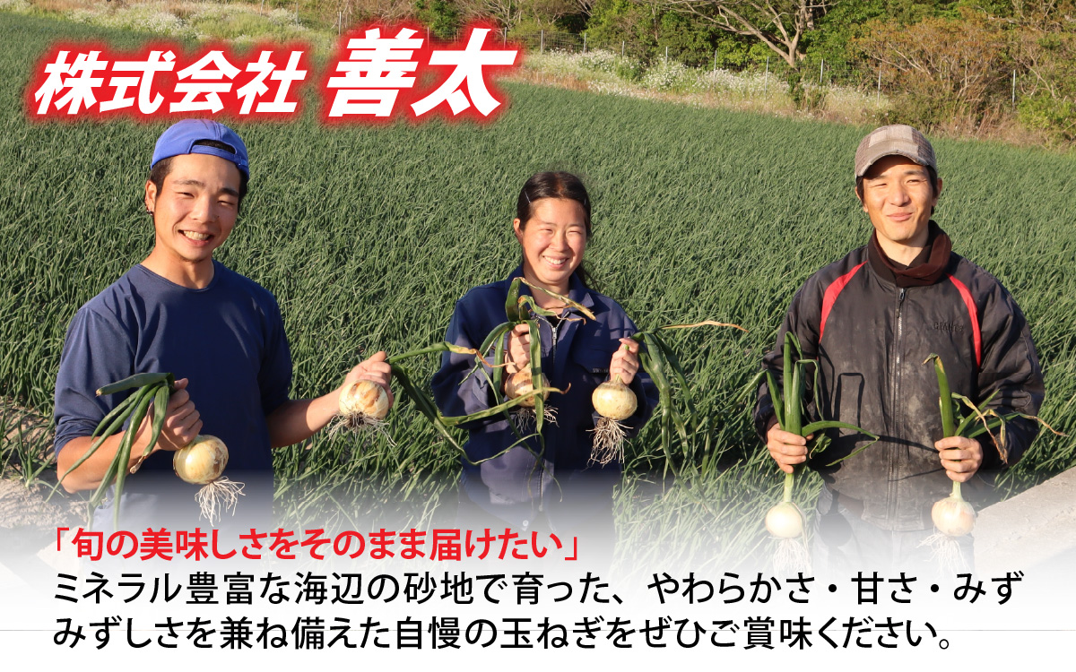 【先行予約】新玉フルーツ玉ねぎ8kg【サイズ色々】※2026年3月中旬頃より順次発送予定