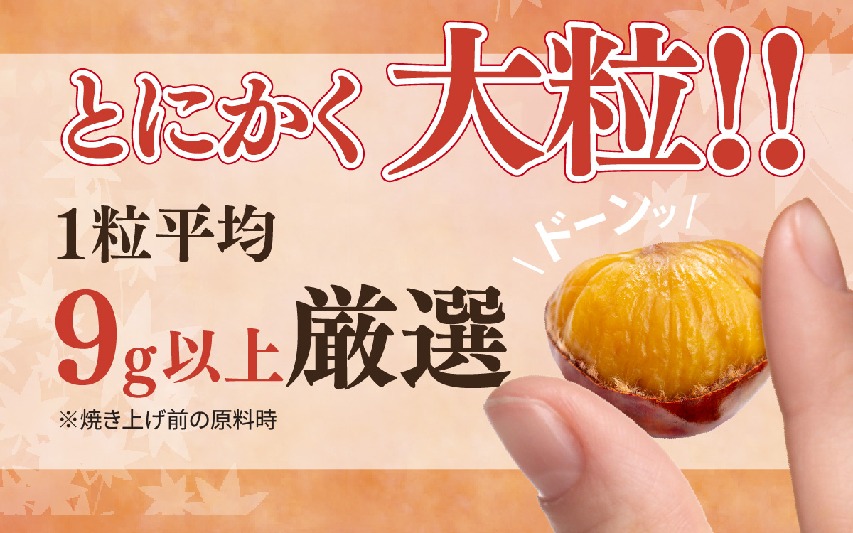 天津甘栗 1.1kg ／ 焼きたて 栗 くり マロン 秋 おやつ 栗爪 殻付き お菓子 おつまみ 人気 高リピート 小分け 栗ご飯 栗きんとん 甘露煮 こだわり 手軽 おためし お試し