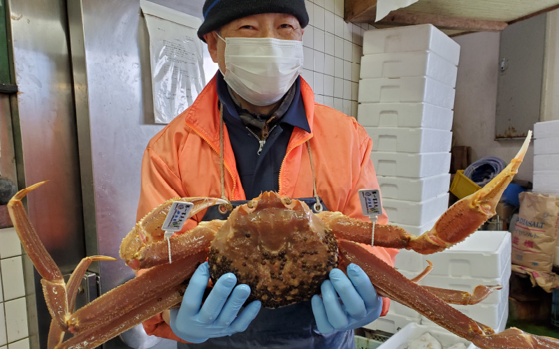 松葉ガニの名産地　但馬浜坂の松葉ガニ夫婦Aセット