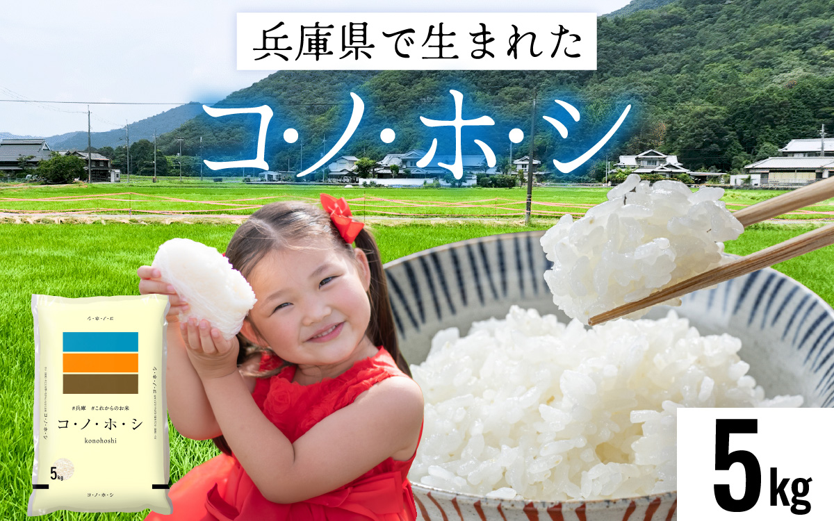兵庫県産コノホシ (5kg)／兵庫県産 精米 単一原料米 米 コメ 新品種 限定 新しい 兵庫県 オリジナル