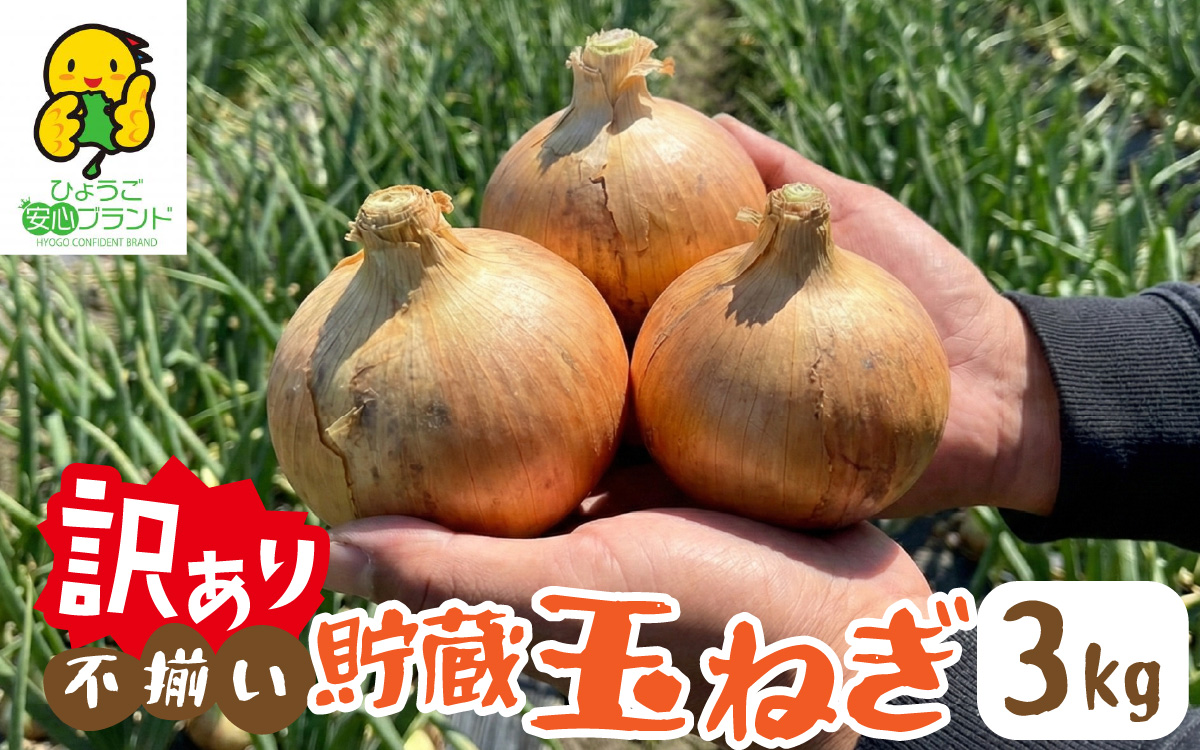 【先行予約】 淡路島 貯蔵玉ねぎ 3kg 訳あり サイズ不揃い 簡易箱でお届け ／ 不揃い サイズ 混合 ミックス S M L 2L 玉ねぎ タマネギ オニオン スライス サラダ ハンバーグ 肉じゃが 焼肉 常備菜 BBQ スープ 味噌汁 産地直送 兵庫県 淡路市
